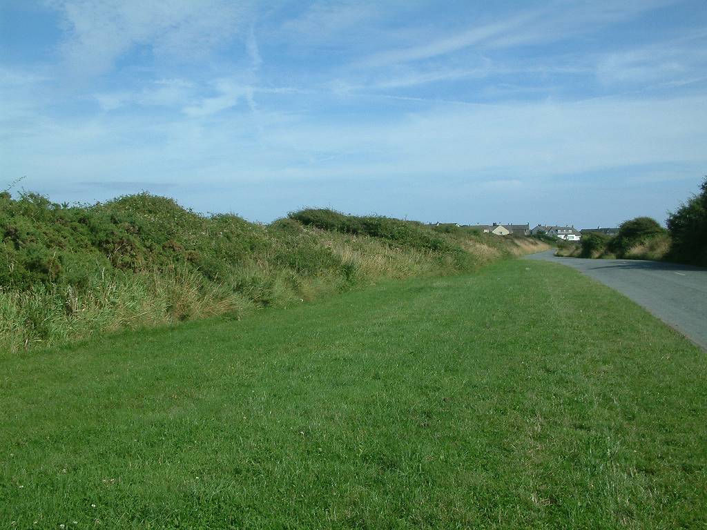 Click now to see this image full size.