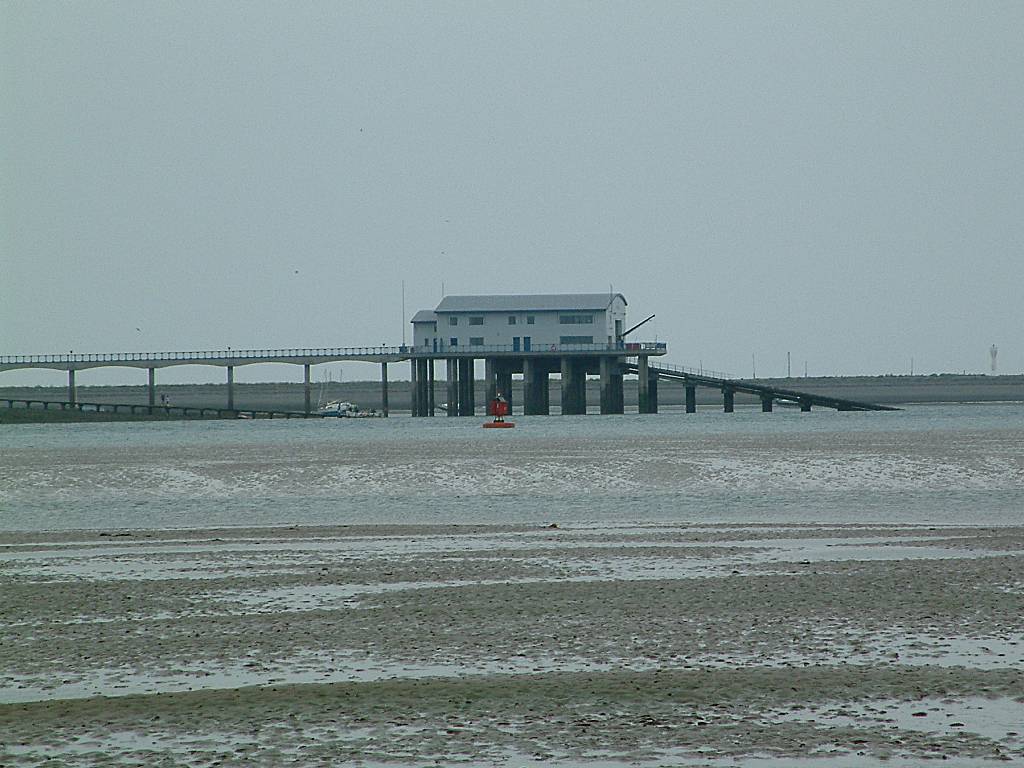 Click now to see this image full size.