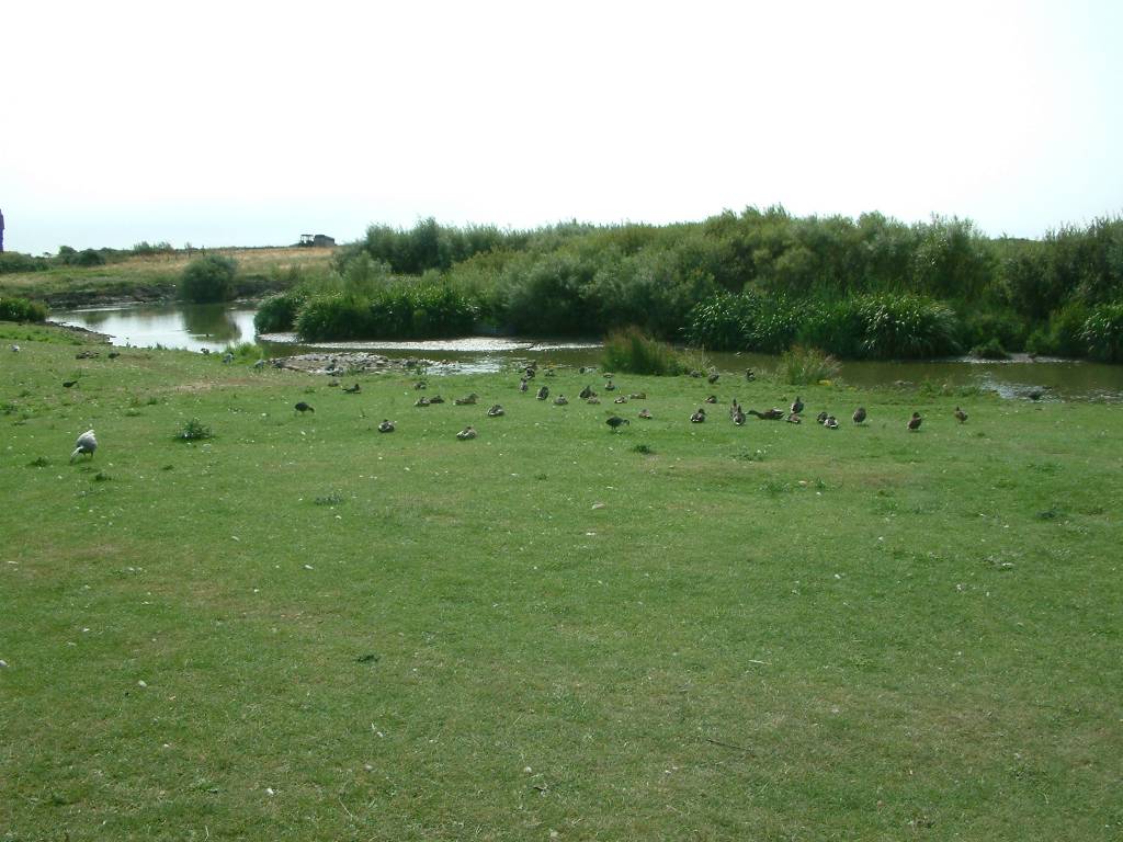 Click now to see this image full size.