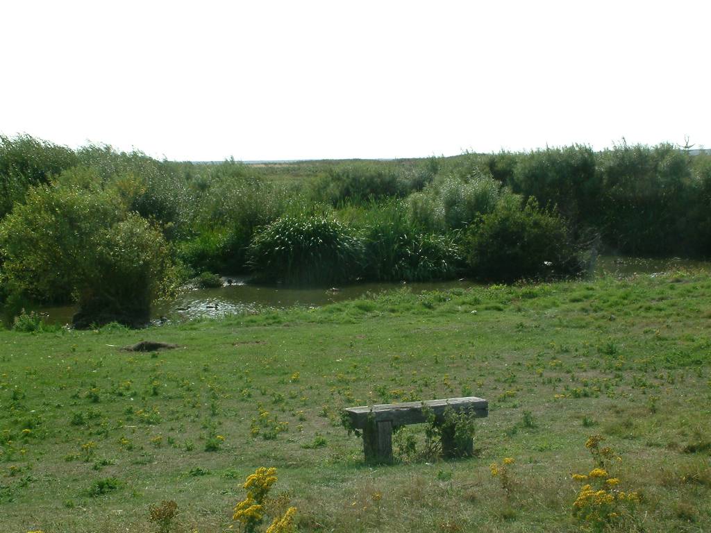 Click now to see this image full size.