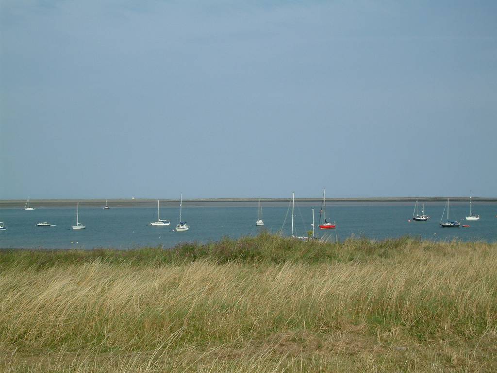 Click now to see this image full size.