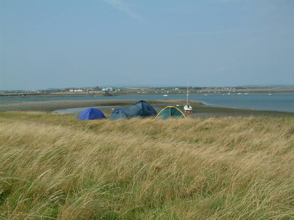 Click now to see this image full size.