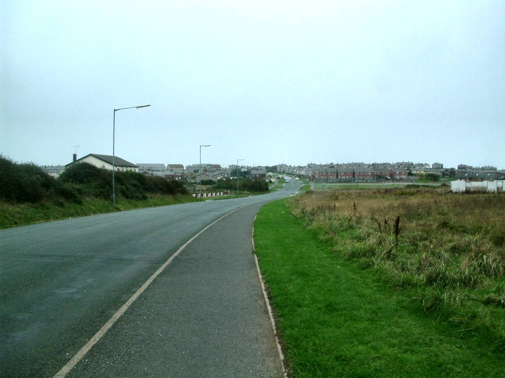 Click now to see this image full size.