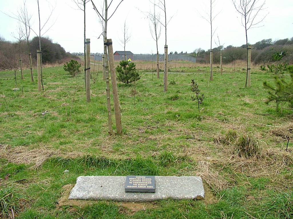 Click now to see this image full size.