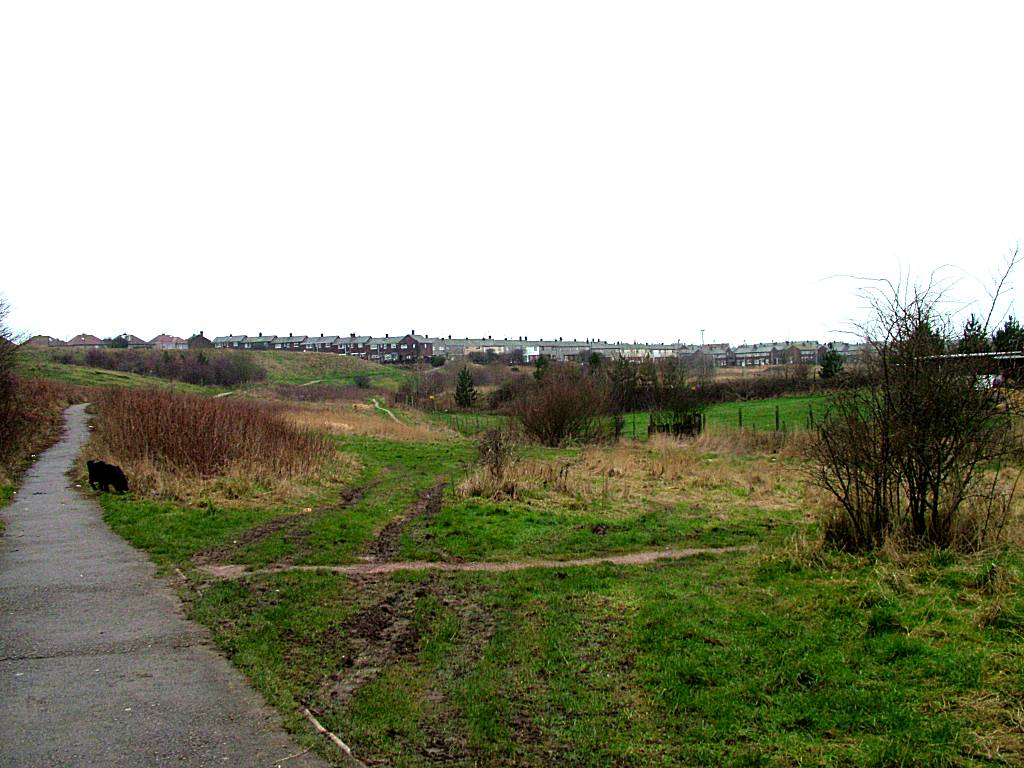 Click now to see this image full size.