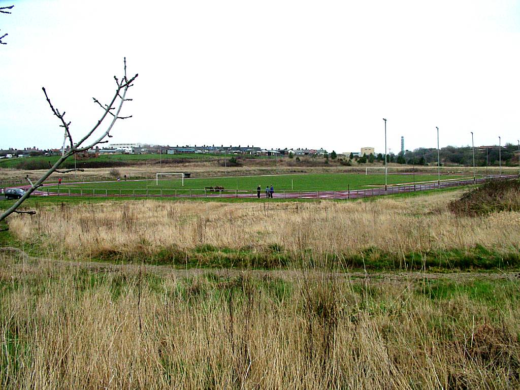 Click now to see this image full size.