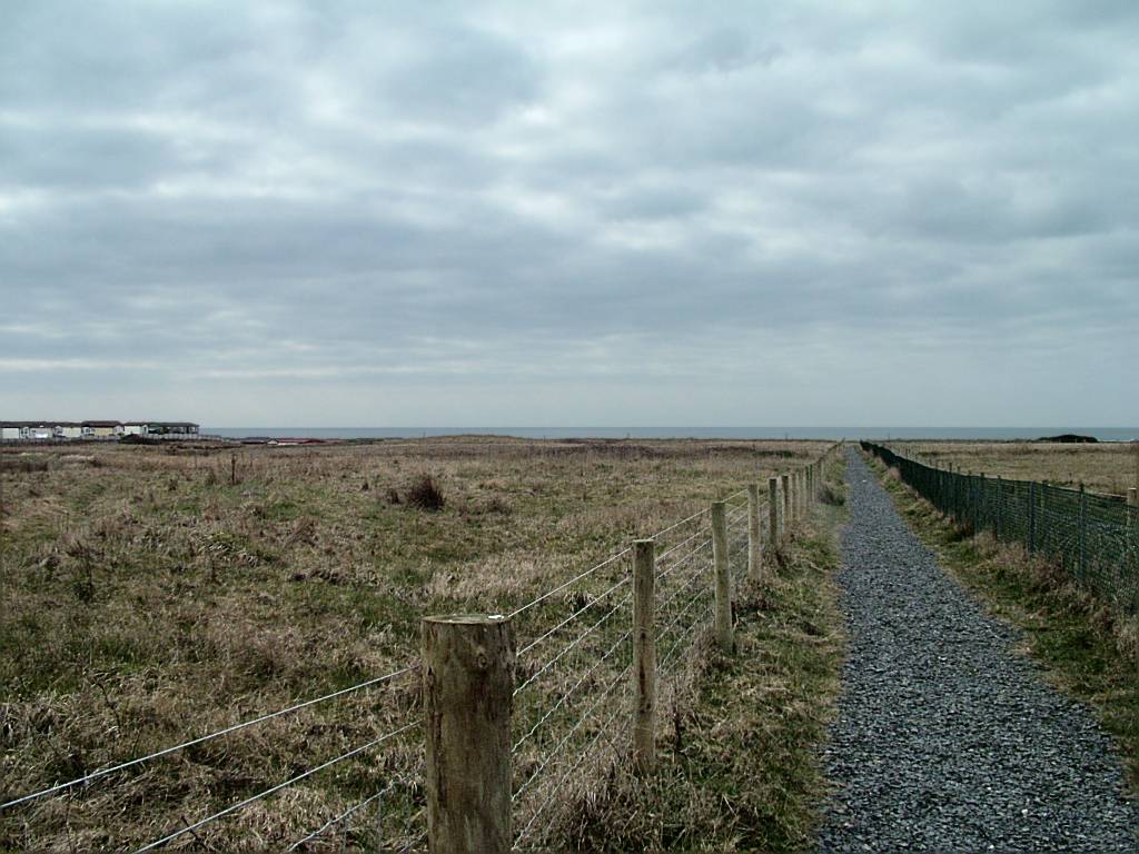 Click now to see this image full size.