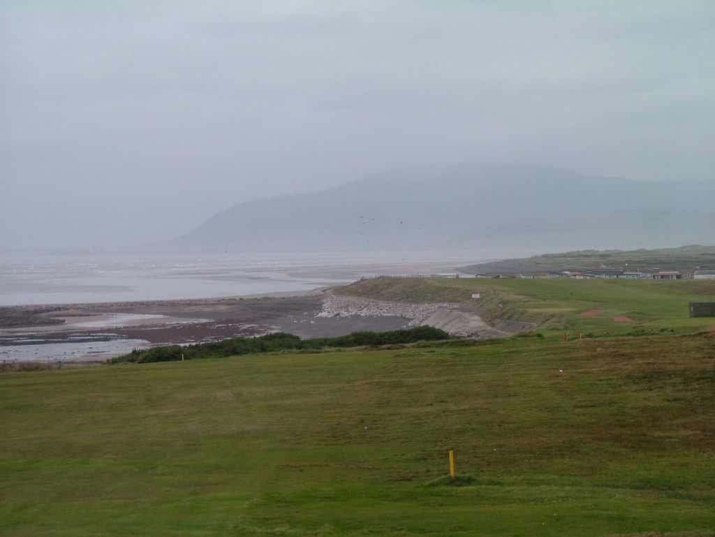 Click now to see this image full size.