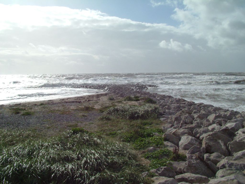 Click now to see this image full size.