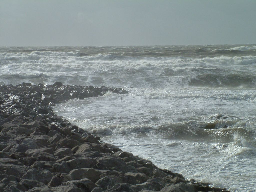 Click now to see this image full size.