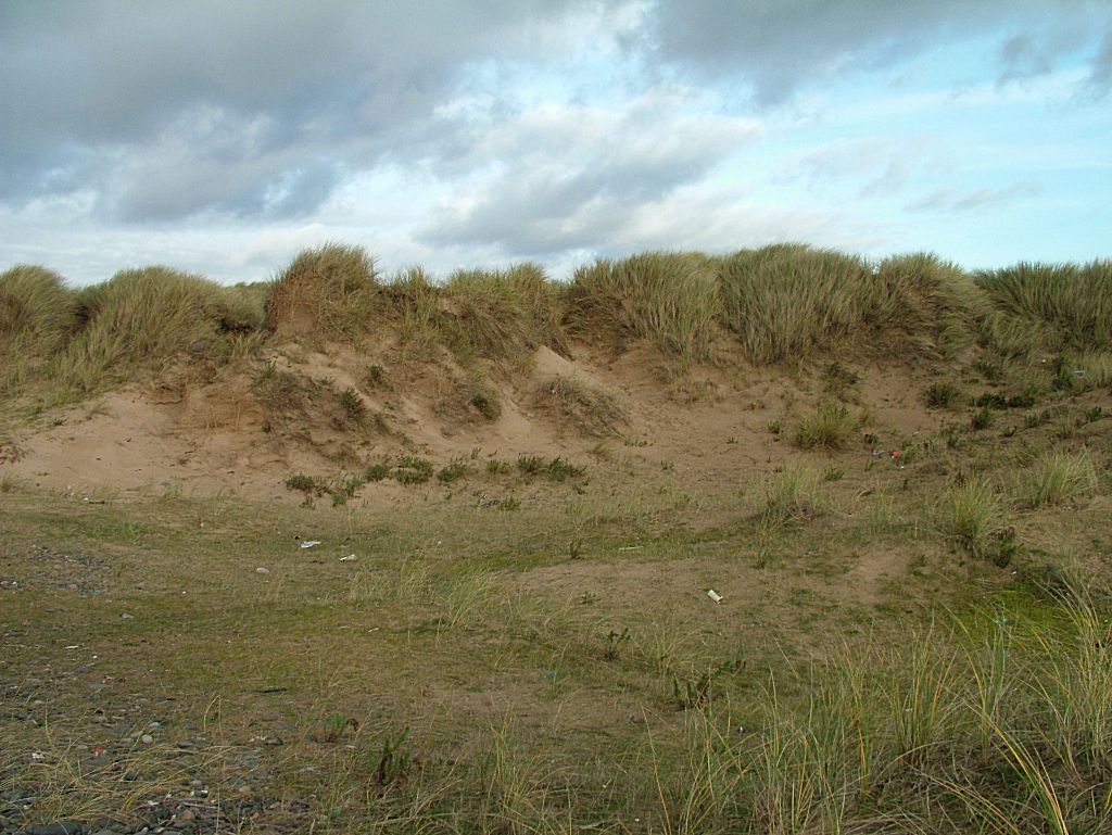 Click now to see this image full size.