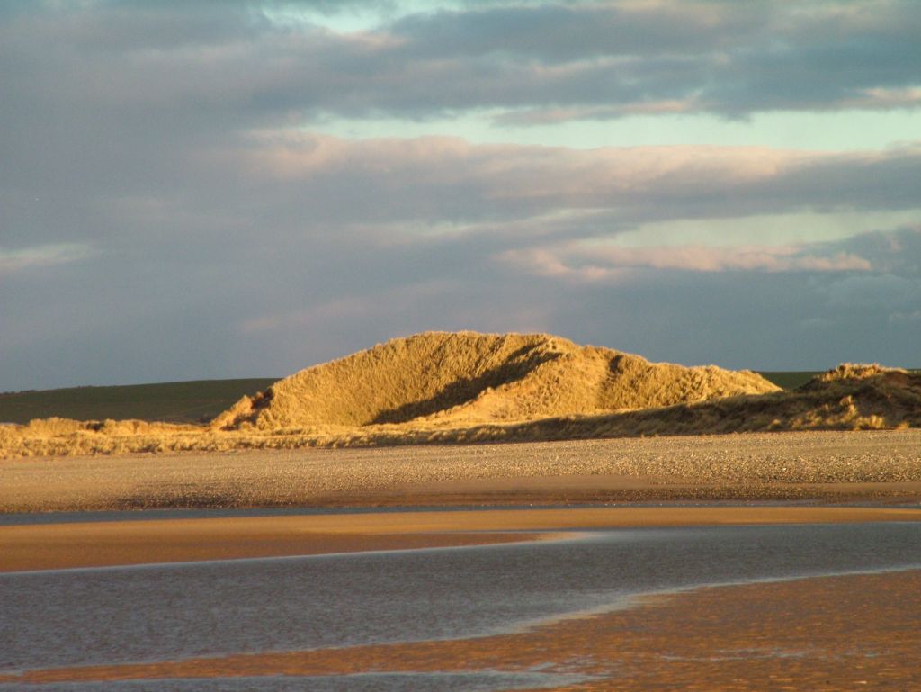 Click now to see this image full size.