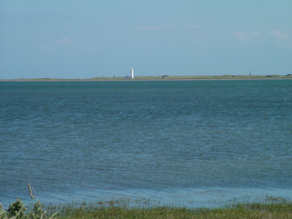 Click now to see this image full size.