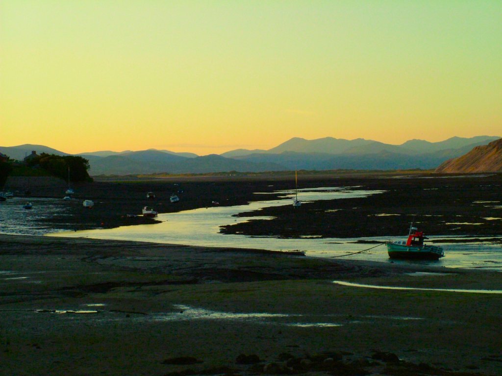 Click now to see this image full size.