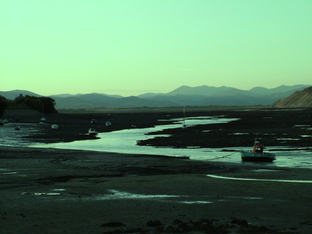 Click now to see this image full size.