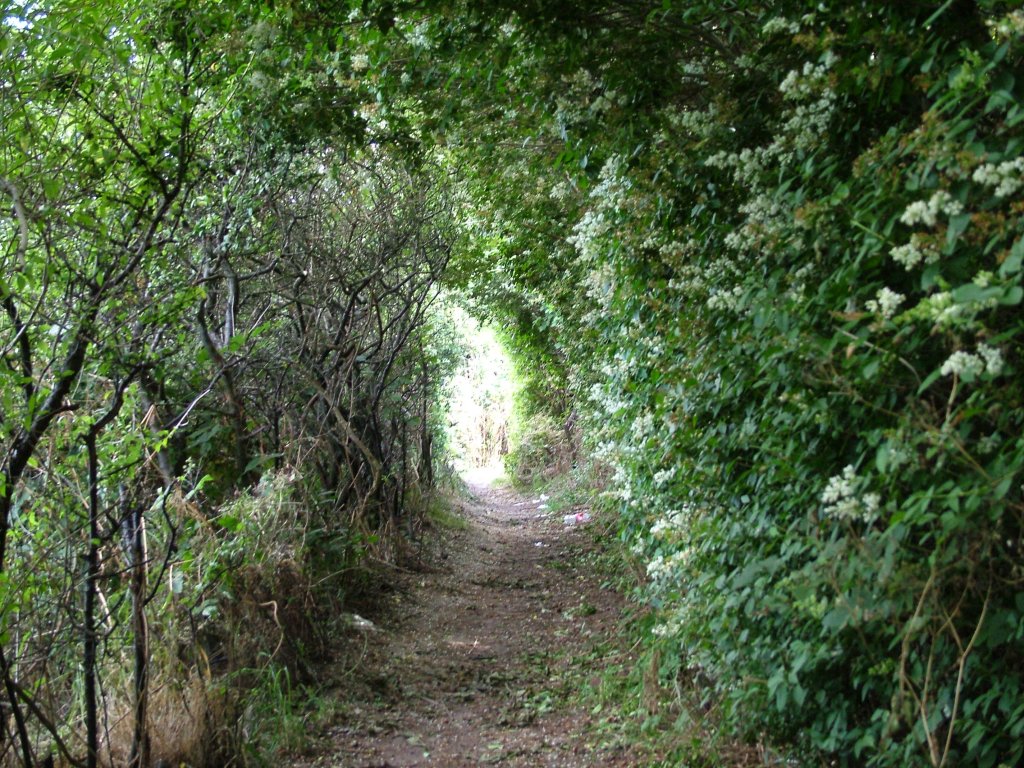 Click now to see this image full size.