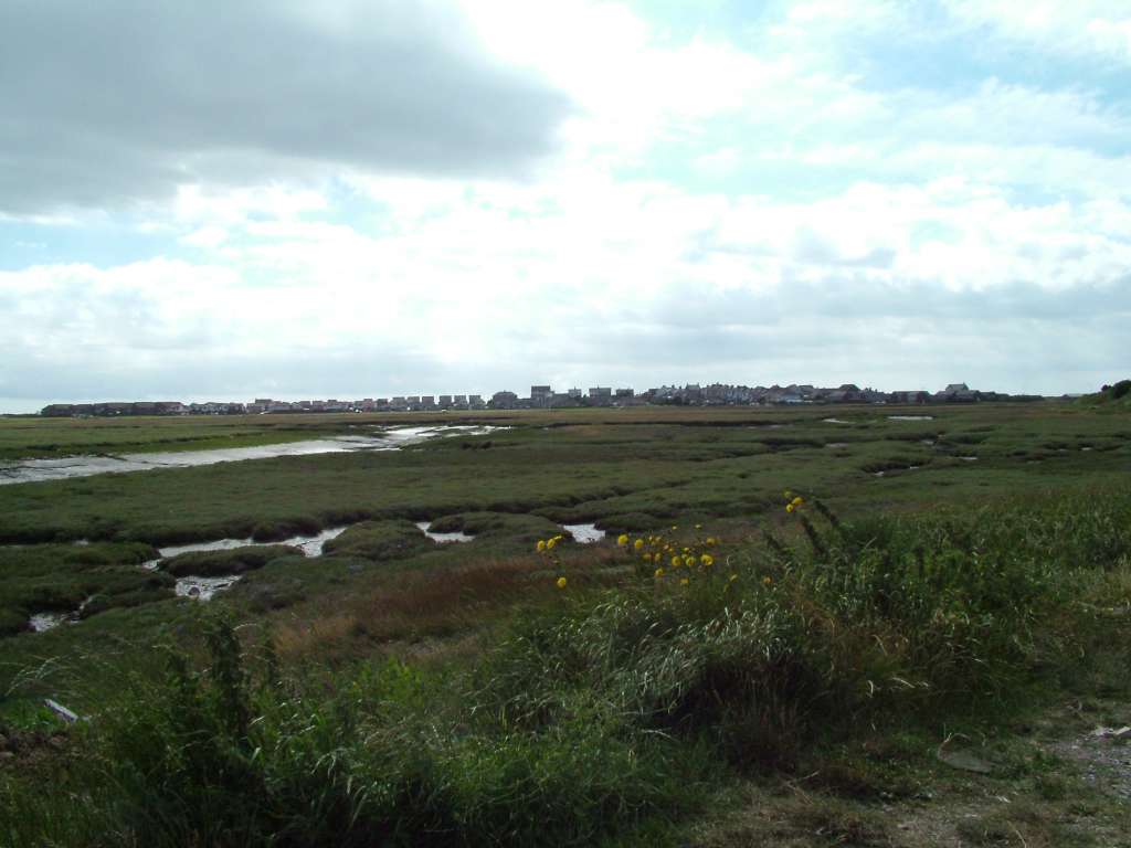 Click now to see this image full size.