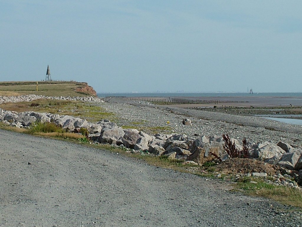 Click now to see this image full size.