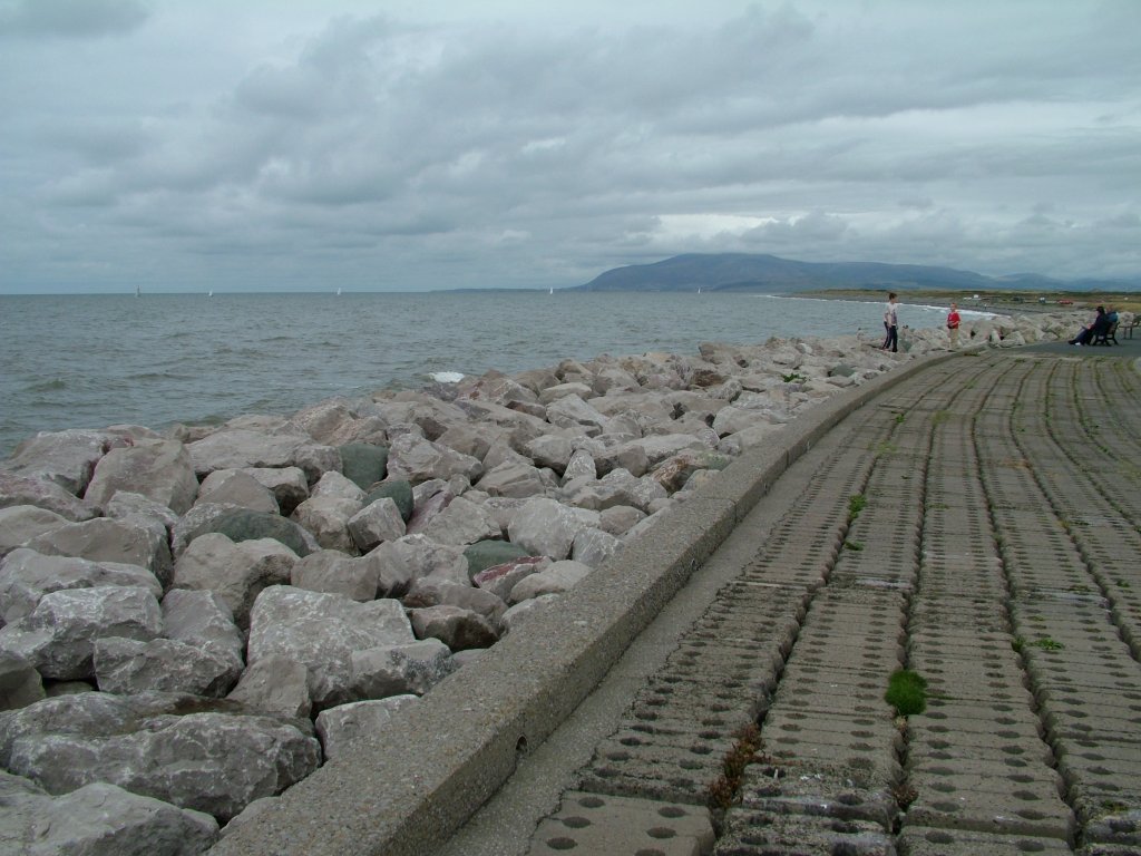 Click now to see this image full size.