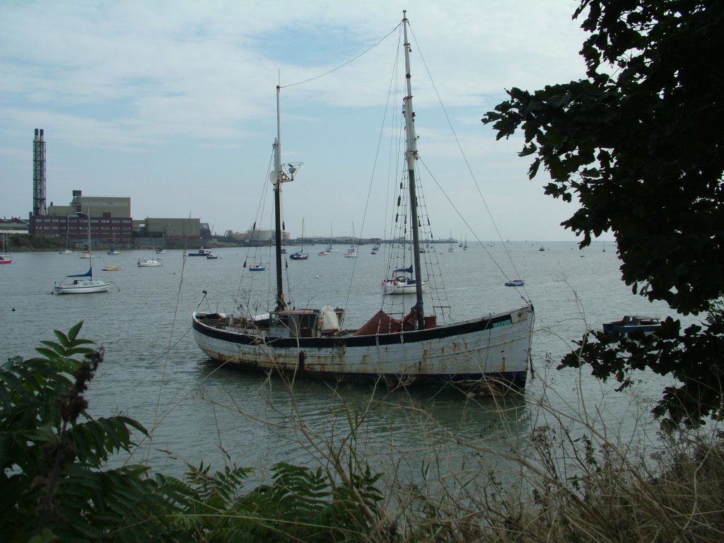 Click now to see this image full size.