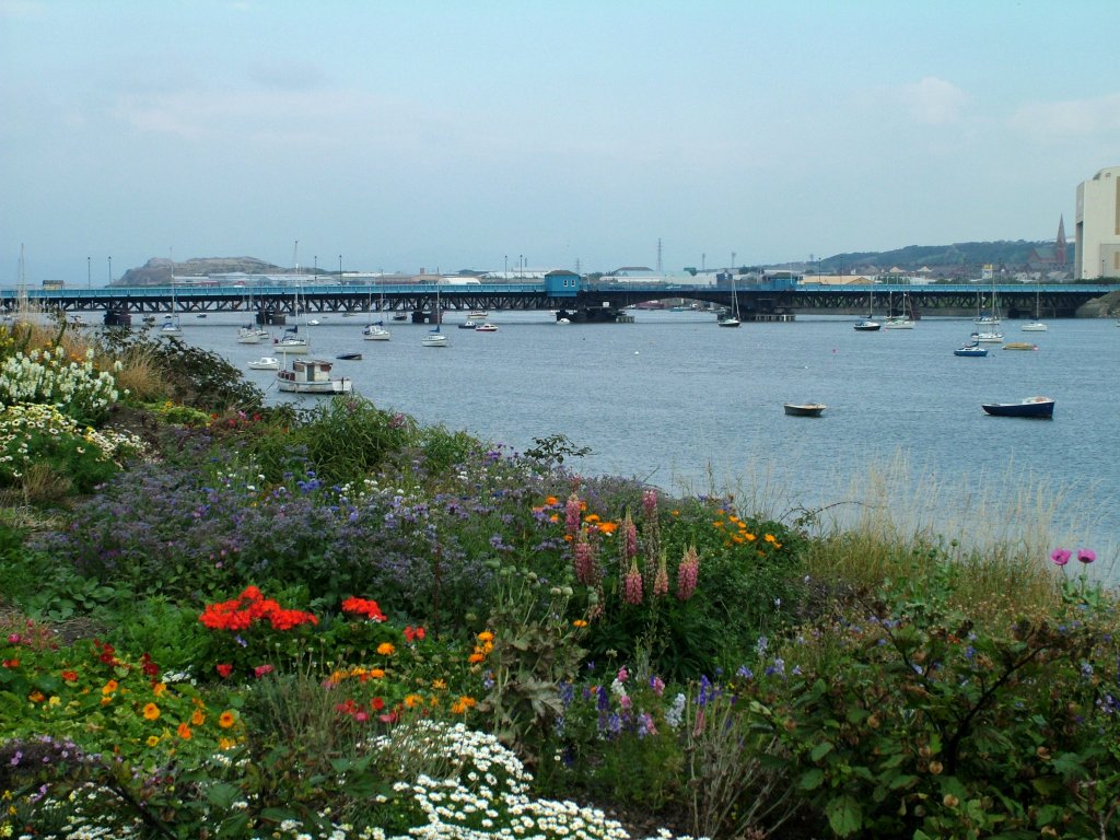 Click now to see this image full size.