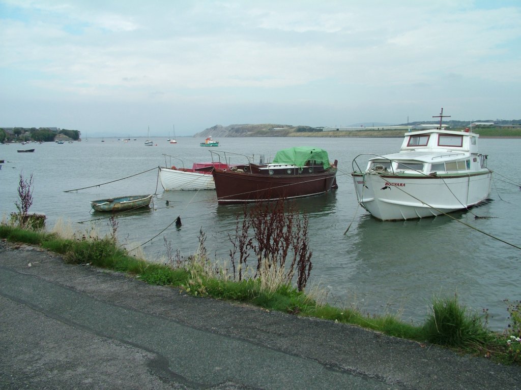 Click now to see this image full size.