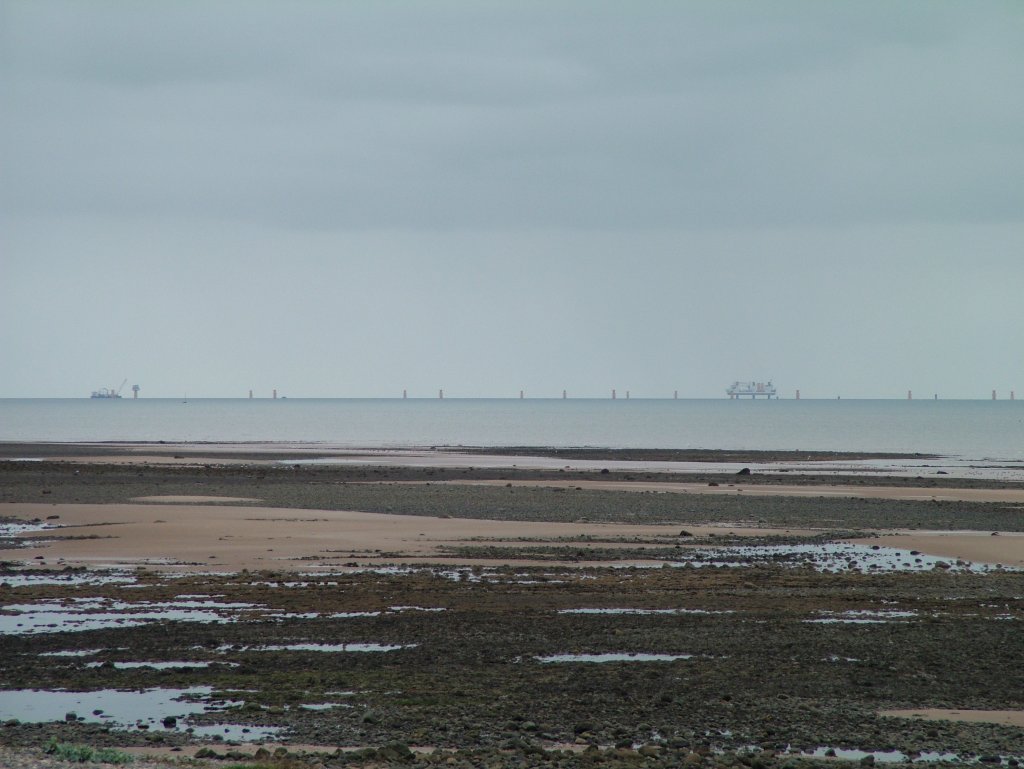 Click now to see this image full size.