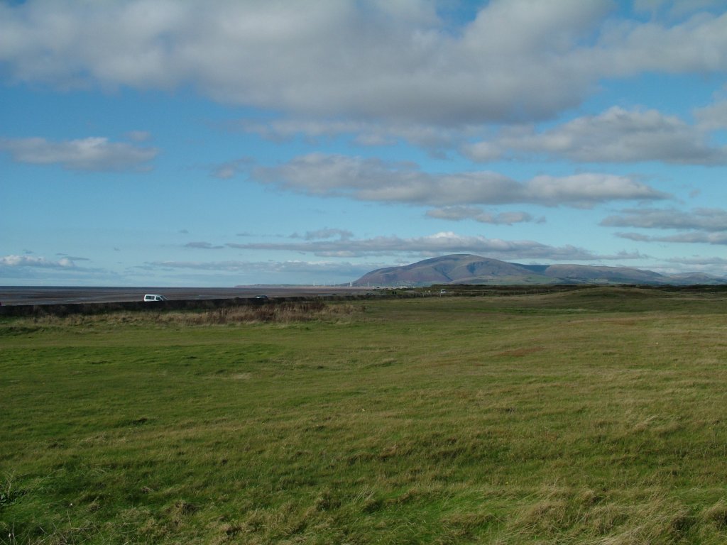 Click now to see this image full size.