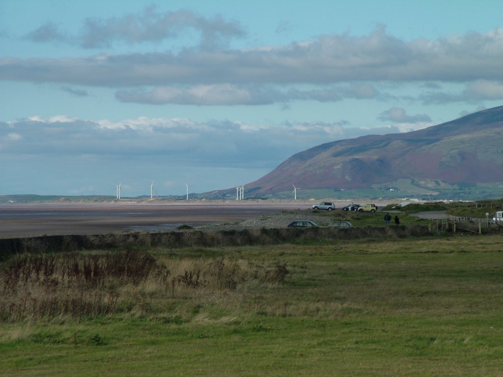 Click now to see this image full size.