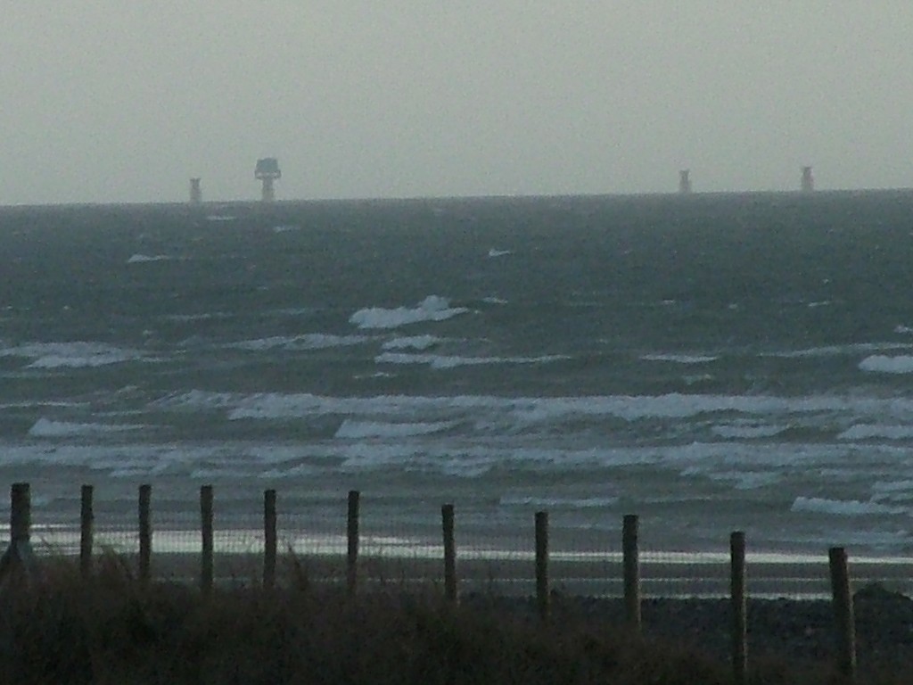 Click now to see this image full size.