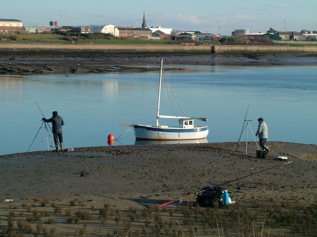 Click now to see this image full size.