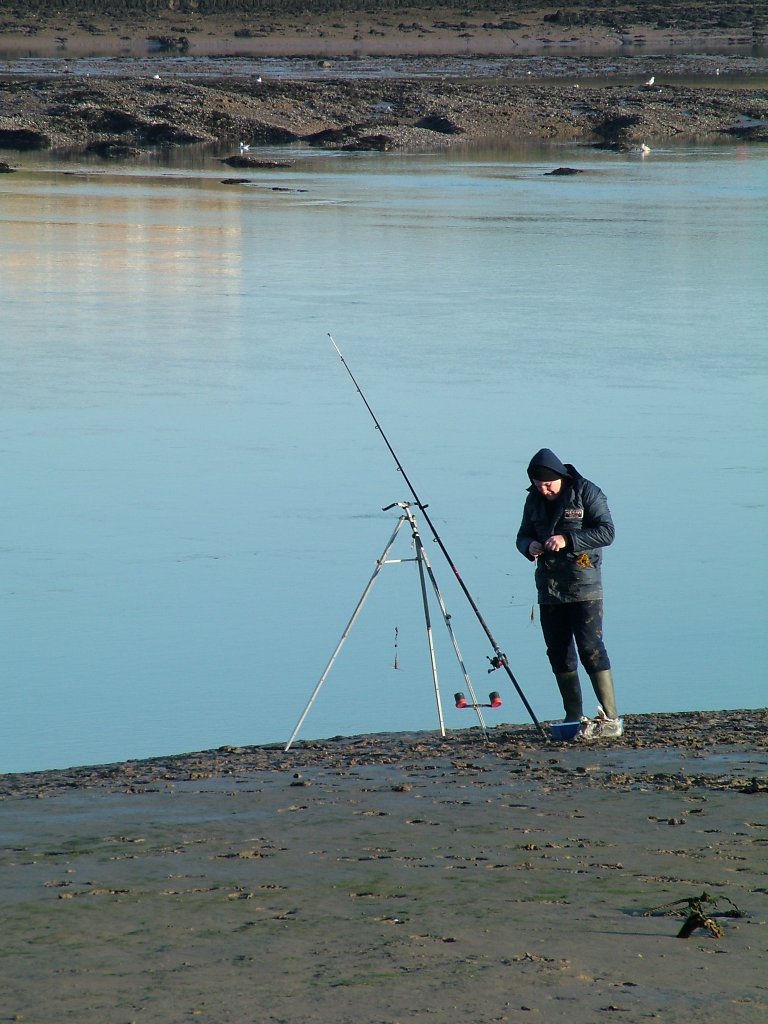 Click now to see this image full size.