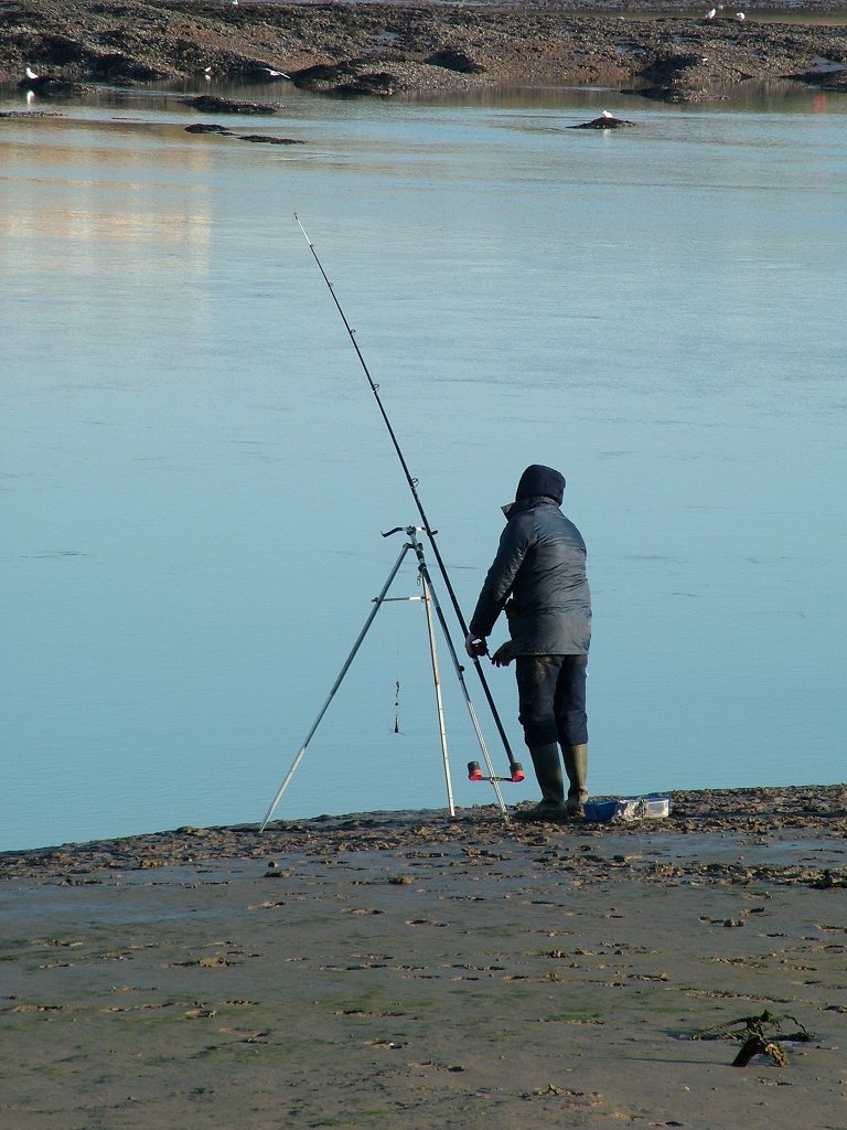 Click now to see this image full size.