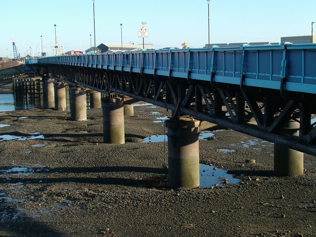 Click now to see this image full size.