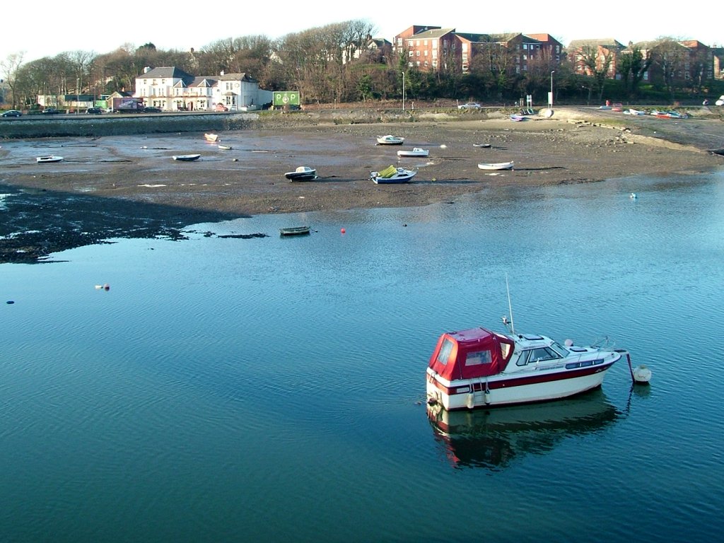 Click now to see this image full size.