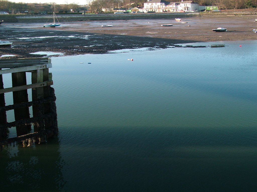 Click now to see this image full size.