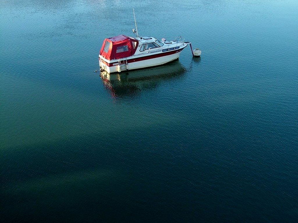 Click now to see this image full size.