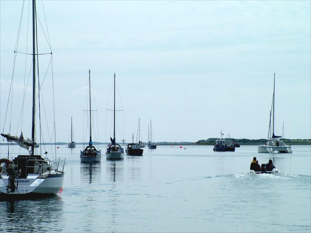 Click now to see this image full size.