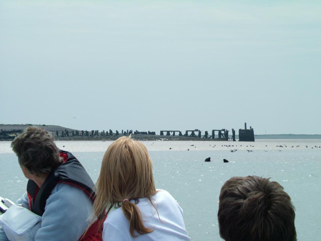 Click now to see this image full size.