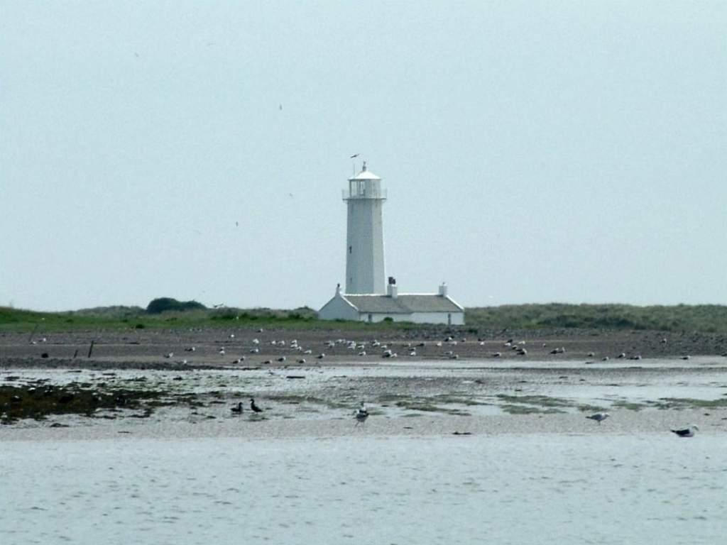 Click now to see this image full size.