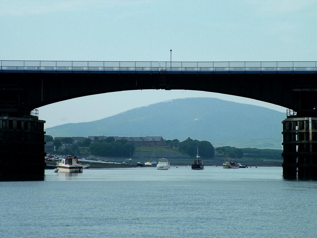 Click now to see this image full size.