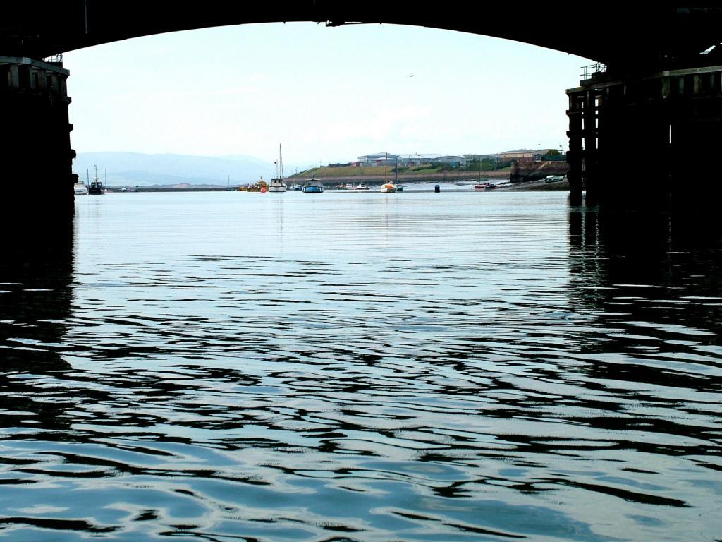 Click now to see this image full size.