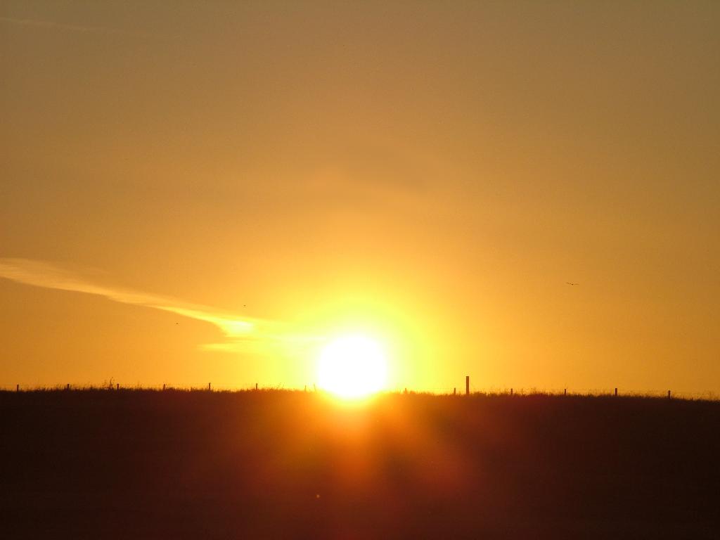 Click now to see this image full size.