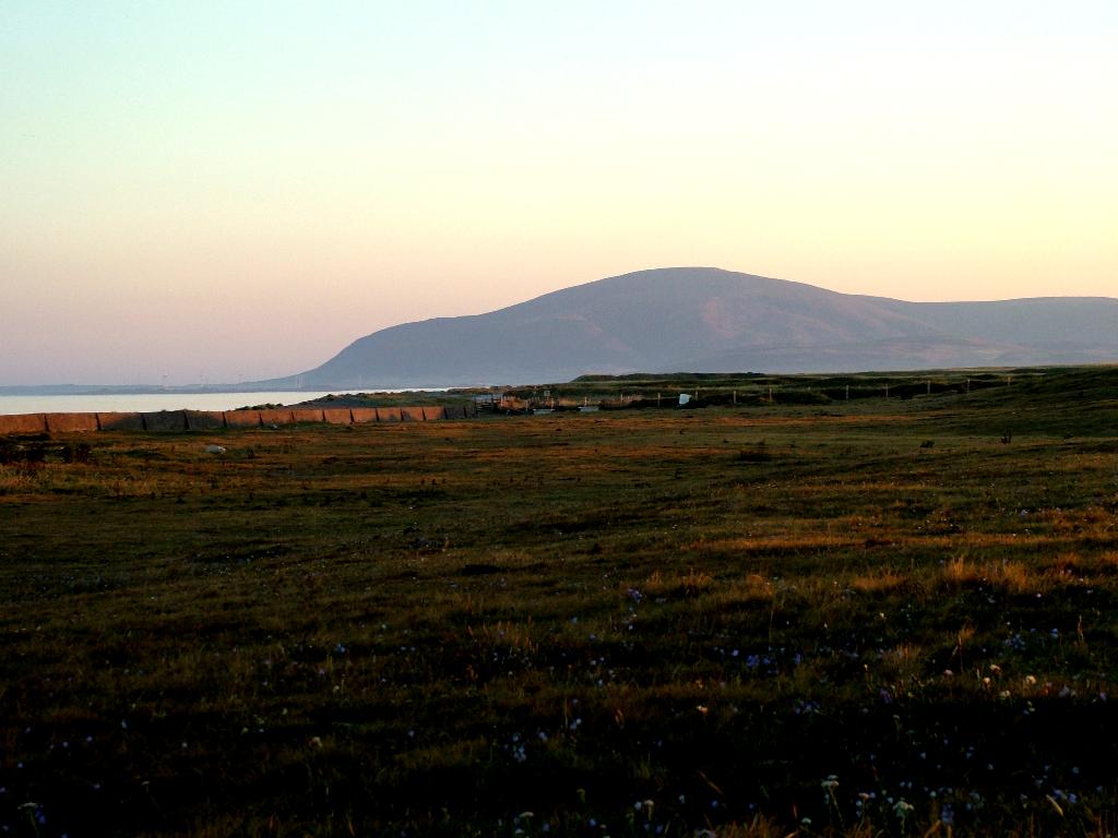 Click now to see this image full size.