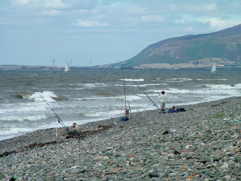 Click now to see this image full size.