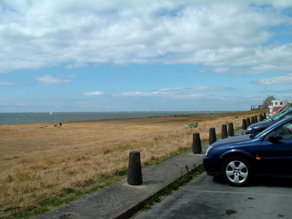 Click now to see this image full size.