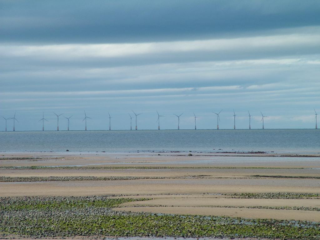 Click now to see this image full size.