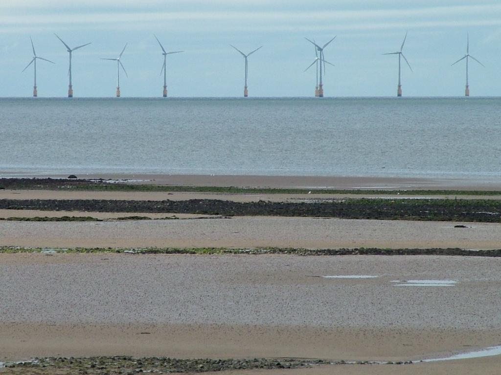 Click now to see this image full size.