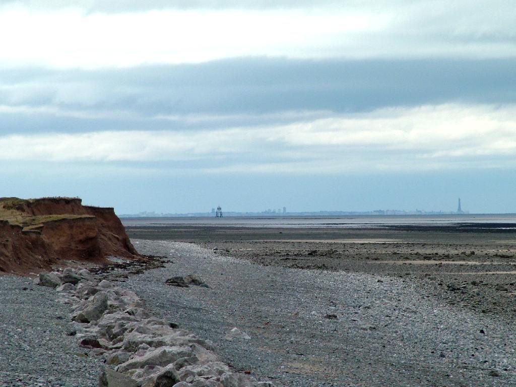 Click now to see this image full size.