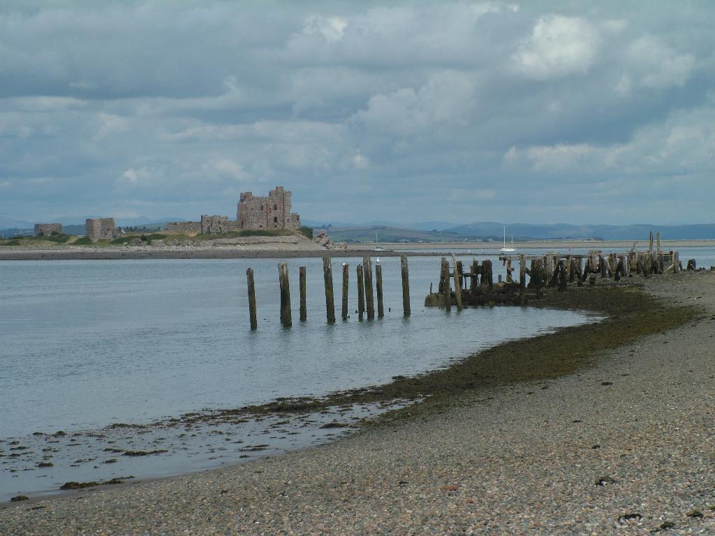 Click now to see this image full size.